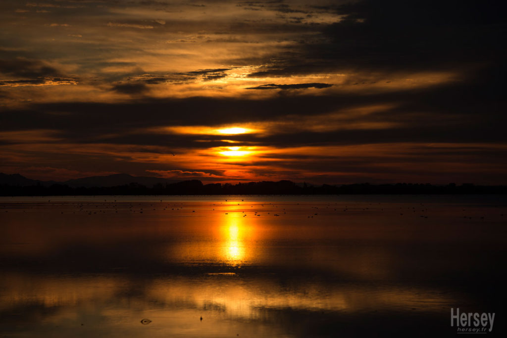 Etang du Vaccares Camargue © Hersey Photographe