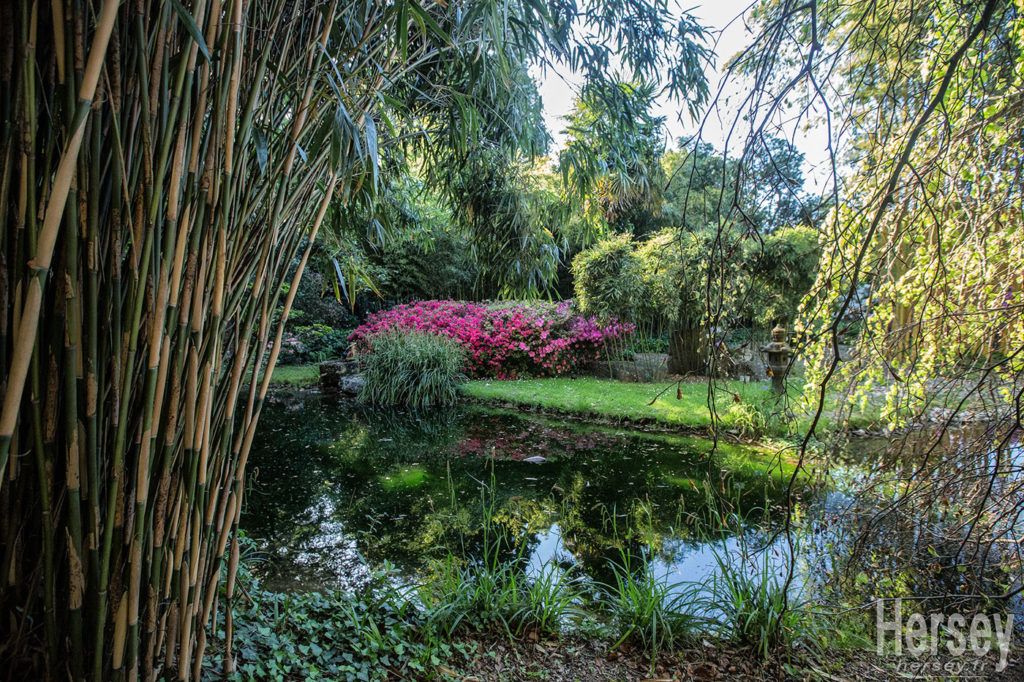 Bambouseraie Anduze Generargues Cévennes © Hersey Photographe