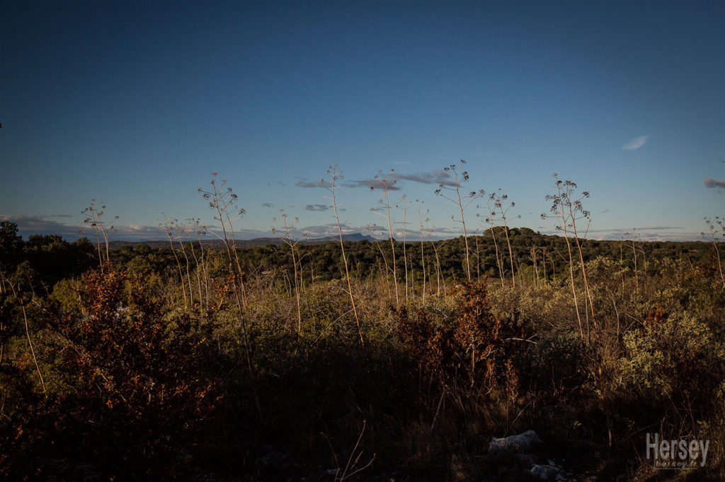 Le Castellas à Russan Gard 30 © Hersey Photographe