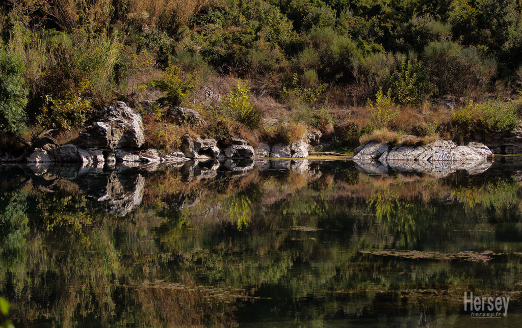 Reflets dans l'eau Le Gardon à Collias © Hersey Photographe