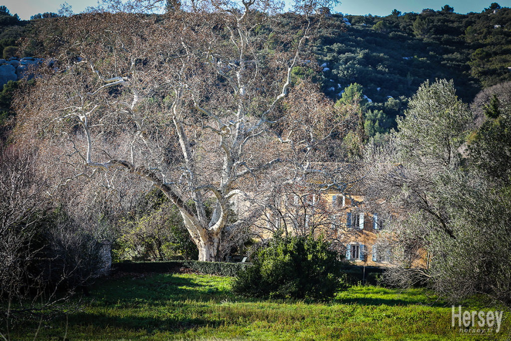 les baux de provence