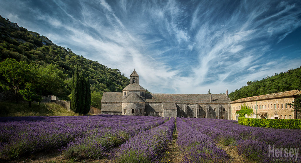Abbaye de Sénanques Gordes Lubéron avec les lavandes en fleurs © Hersey Photographe