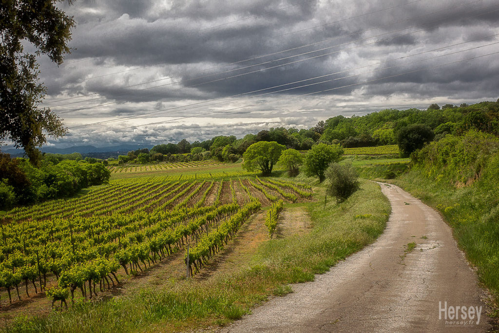Chemin de Bornègre Saint Maximin Gard 30 © Hersey Photographe