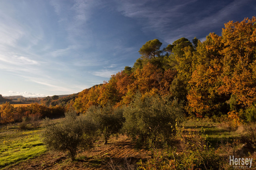 Photo d'automne à Belvezet 30 Gard Occitanie © Hersey Photographe