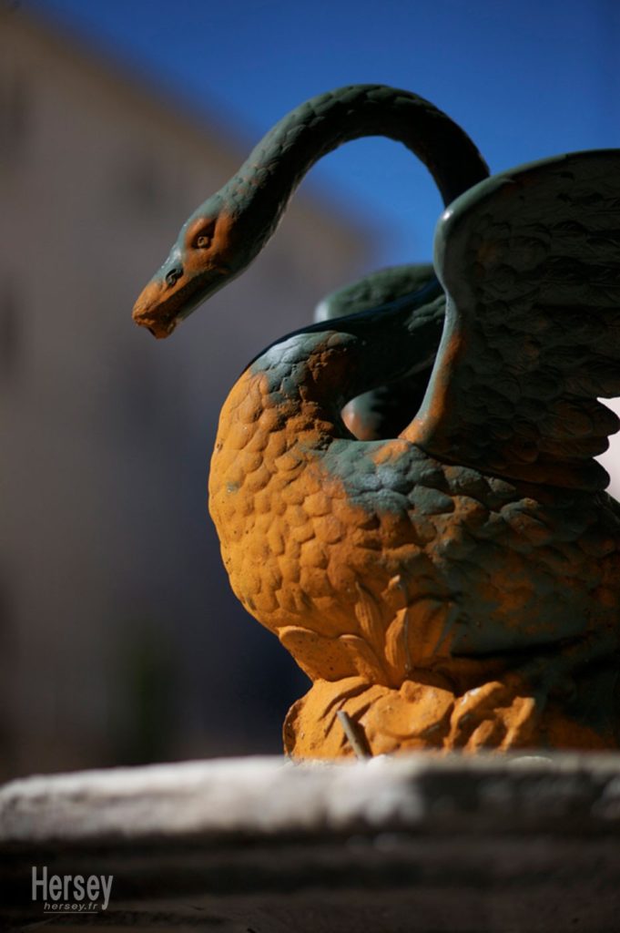 Fontaine au Cygne à Uzès Gard Occitanie © Hersey Photographe Uzès