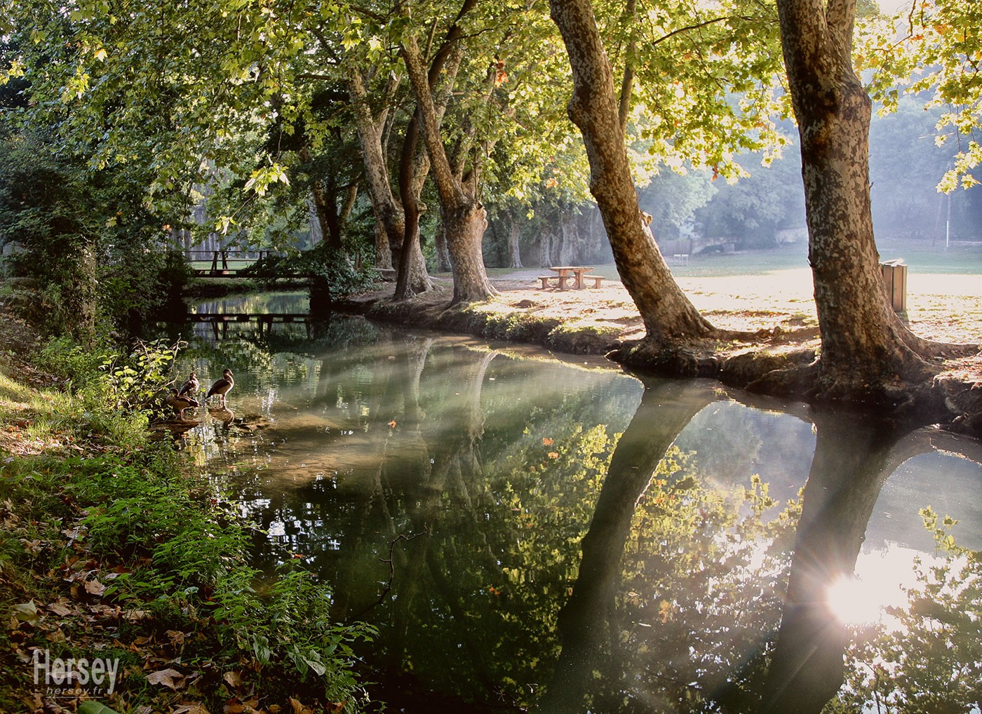 La Vallée de l'Eure à Uzès Gard 30 Occitanie. Vue sur la rivière Alzon bordée de platanes © Hersey Photographe Uzès