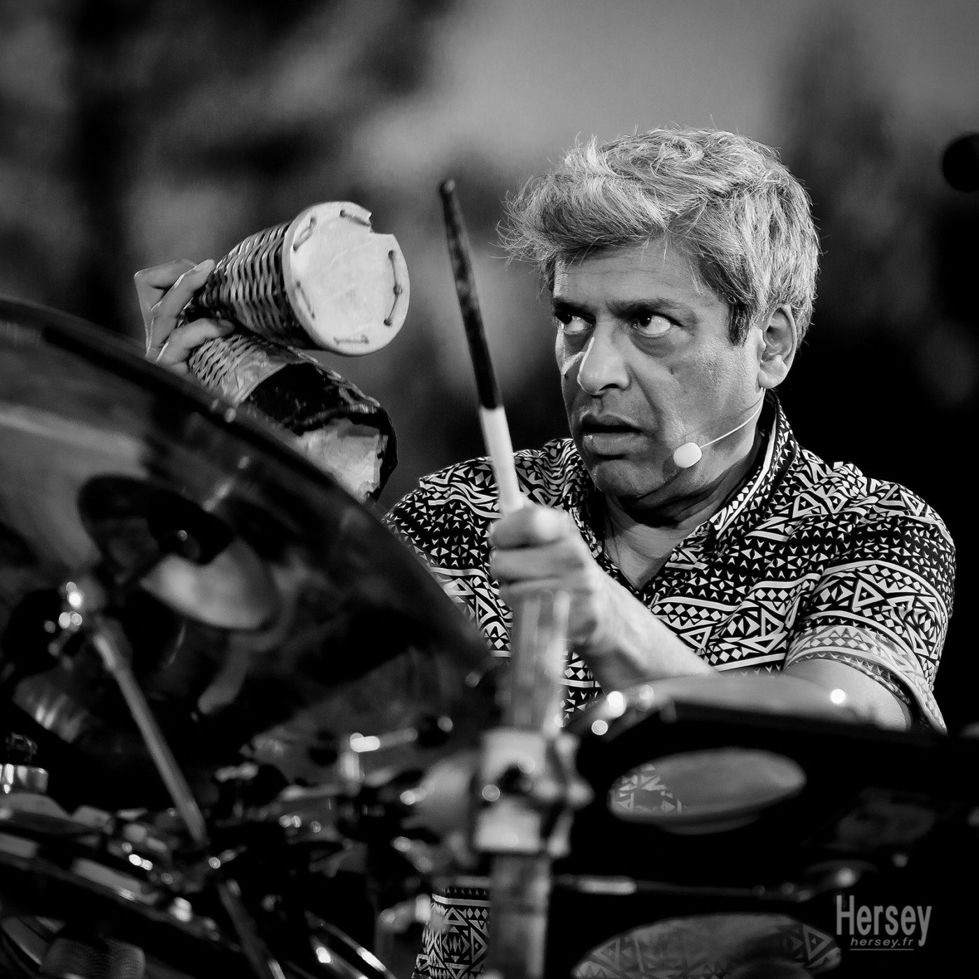 Trilok Gurtu