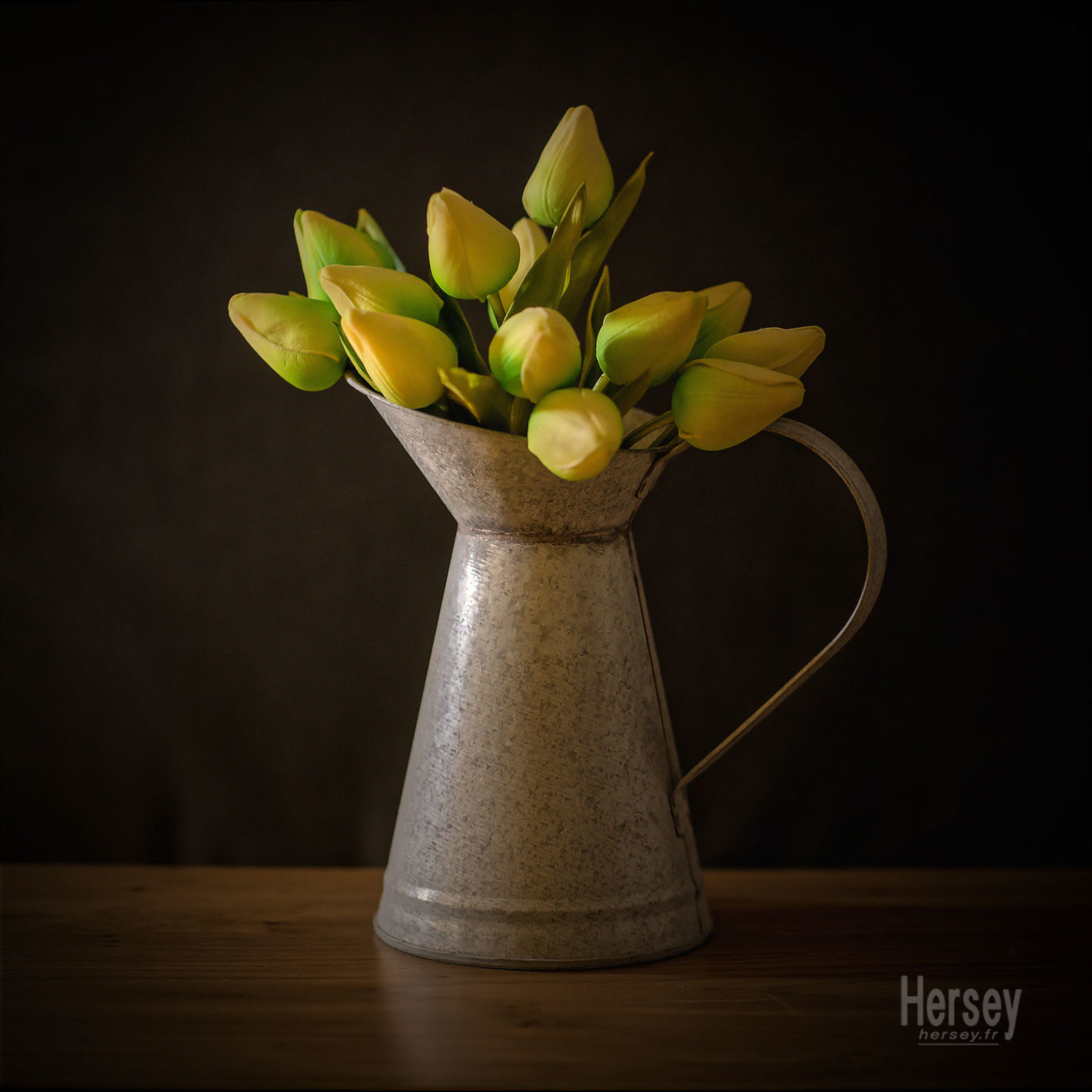 Nature morte boutons de tulipes jaunes dans un pot en fer blanc © Hersey Photographe