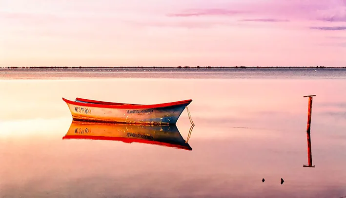 Etang du Vaccares au soleil levant