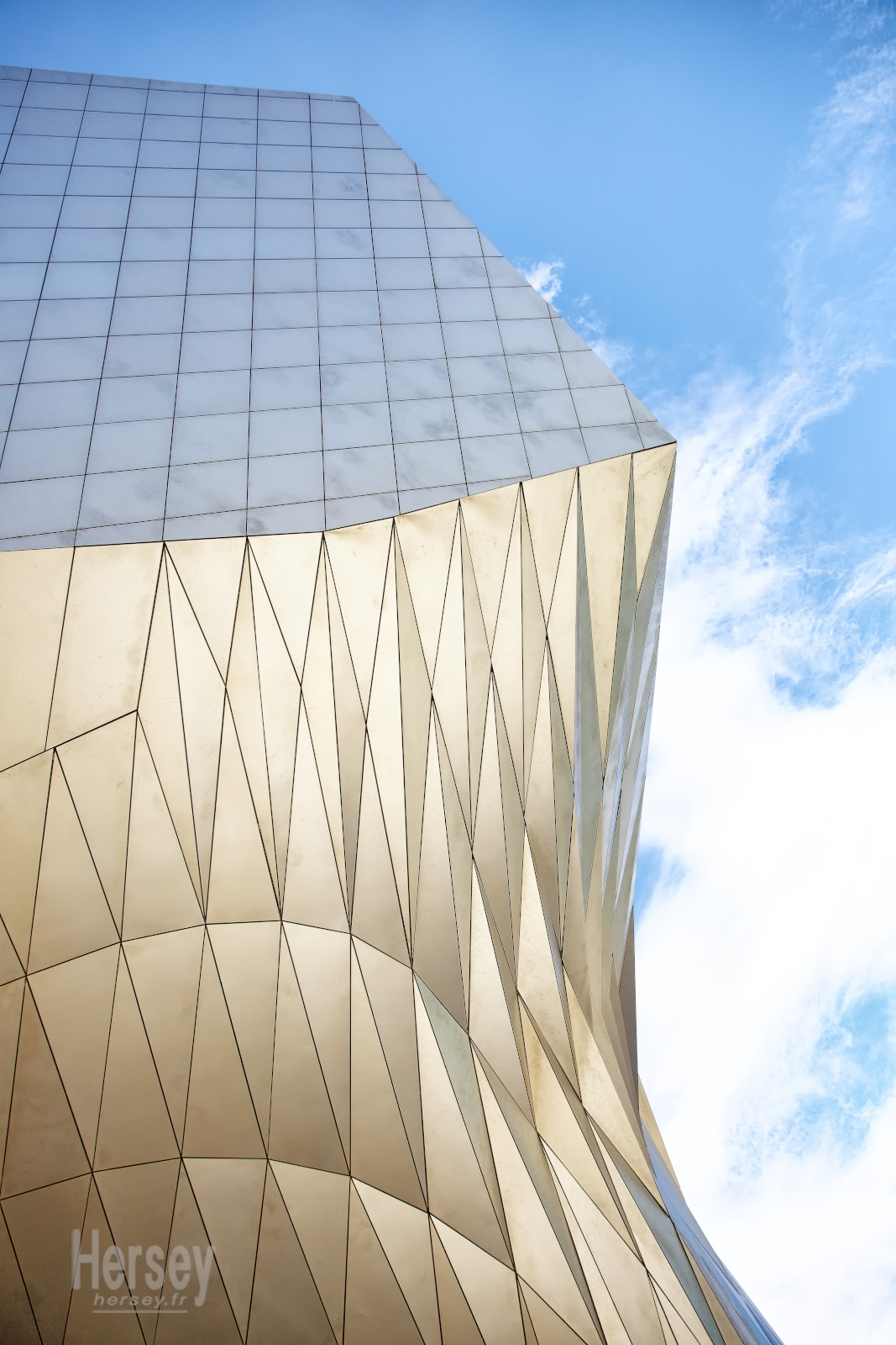 Musée des Confluences Lyon © Hersey Photographe